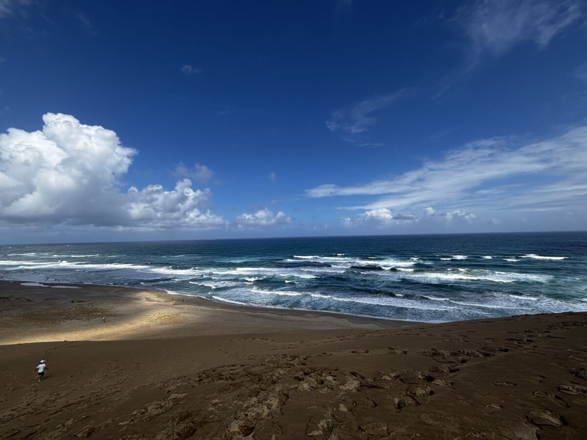 砂丘を登って日本海
