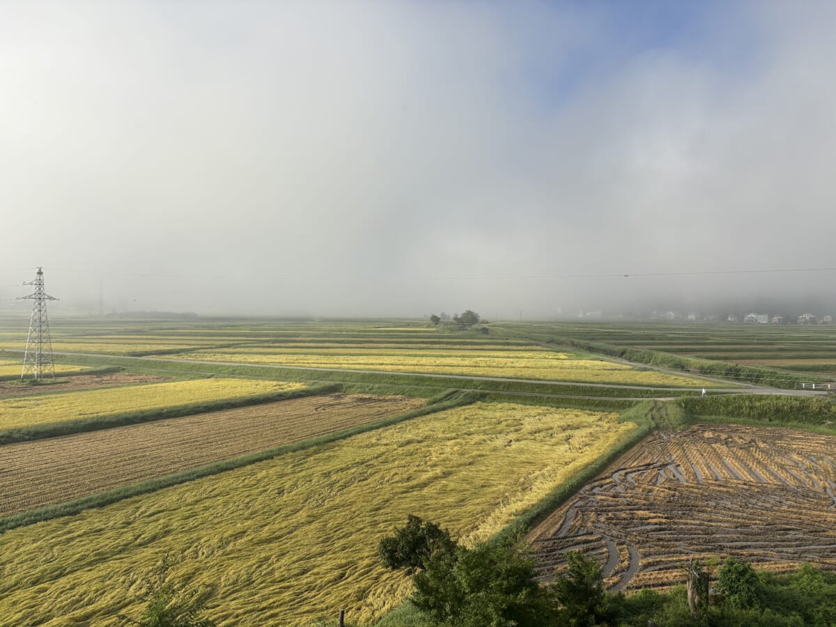南魚沼 旅館からの景色 田園地帯 米どころ